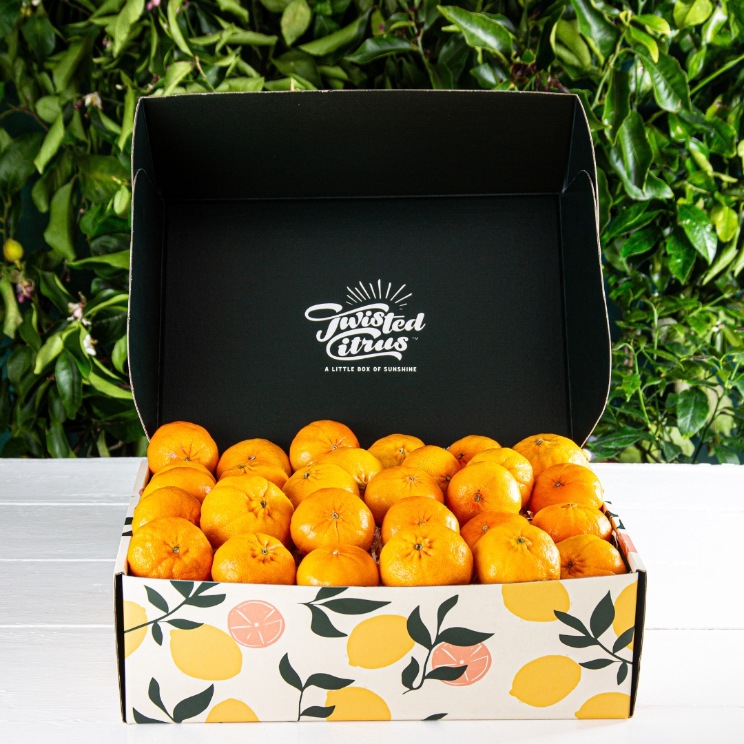 Buy Mandarin Gift Box Online NZ - Twisted Citrus